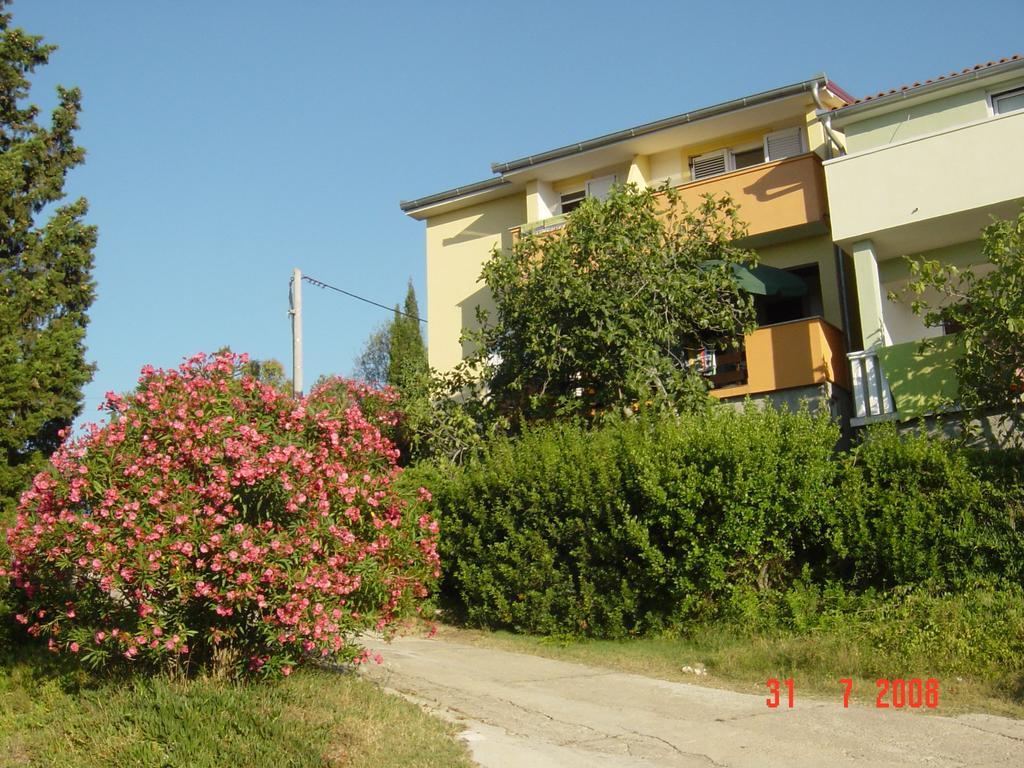 Apartments Prahovic Ždrelac المظهر الخارجي الصورة